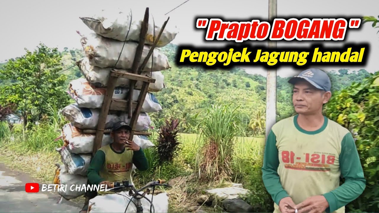 PRAPTO BOGANG Pengojek jagung handal