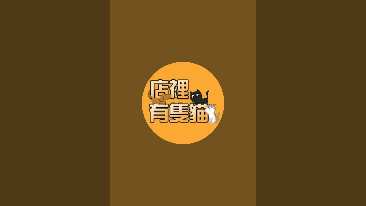 「店裡有隻貓」正在直播！