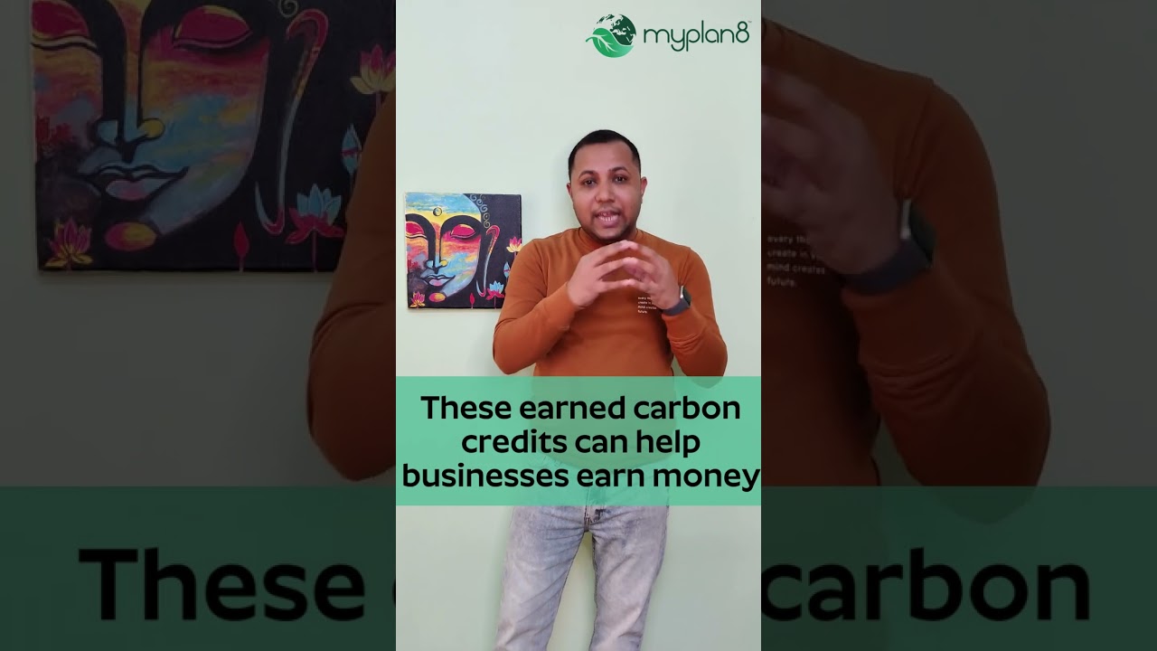 Myplan8 | What is carbon credit system? | Know how much Tesla made through with carbon credits