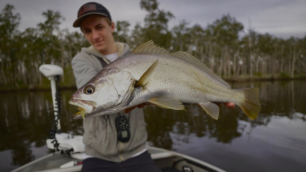 Targeting SEQ Jewfish with Holtproductions Swimprawns