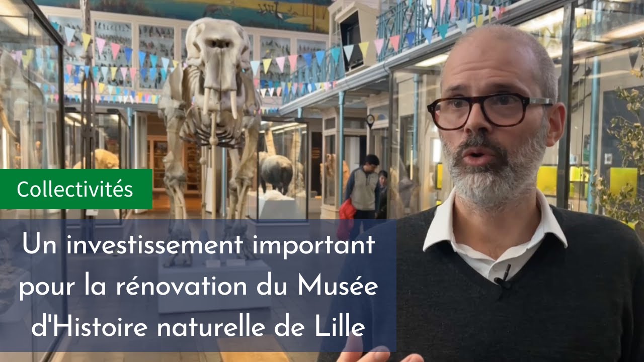 Musée d'histoire naturelle à Lille : Une métamorphose à l'horizon 2025