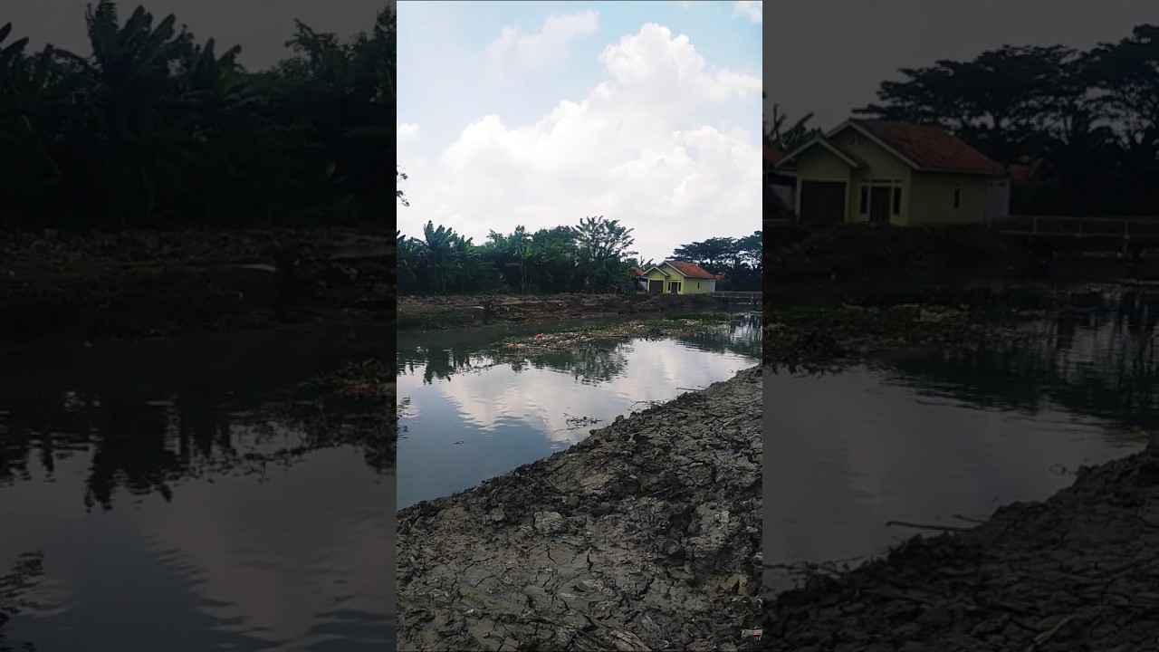 bikin heboh Warganet penampakan Kali Serengseng pasca Normalisasi #shorts
