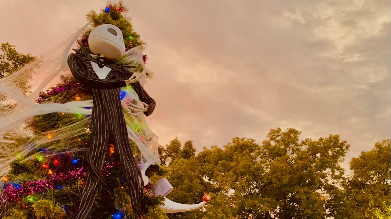 Are you ready for Harvest Fest 2022? Harvest Fest Throwback to 2020 & 2021, CannaLove LLC experience