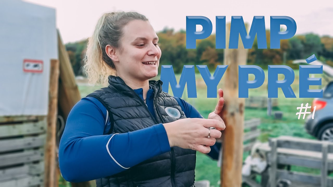 PIMP MY PRÉ #1 - Travaux d'aménagements de notre petite écurie !
