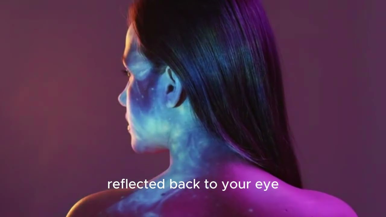 How veins function in Human Body