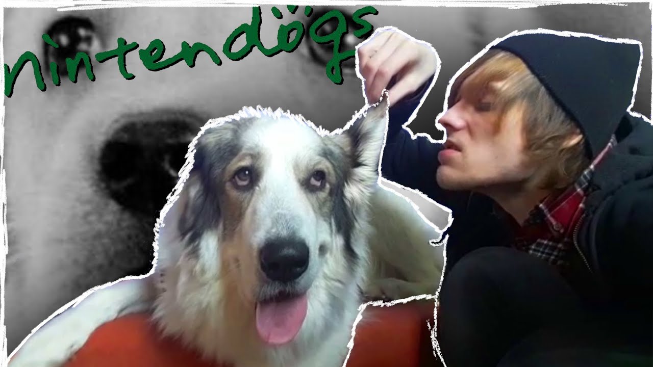 Klordiii behandelt Hunde SCHLECHT!
