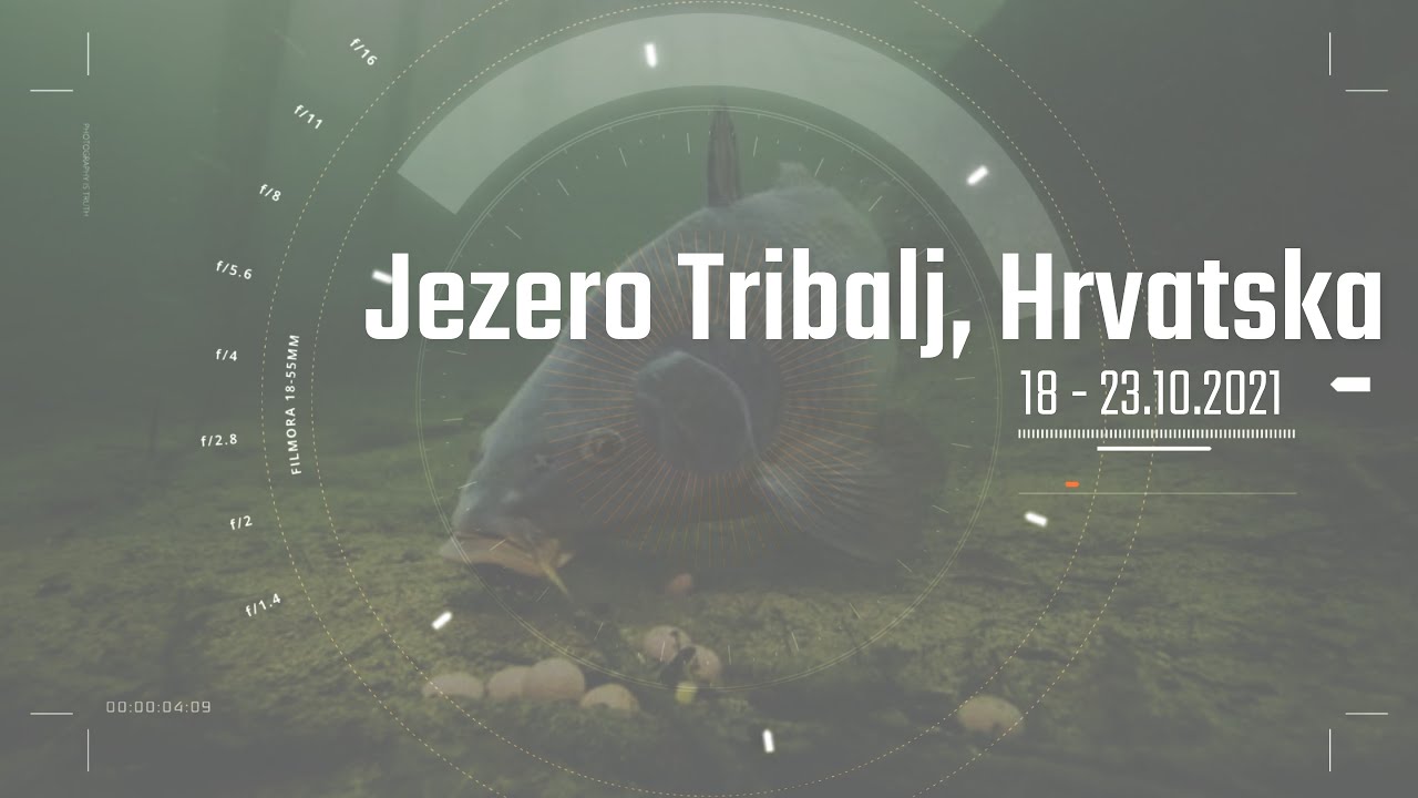 ТЕГАВИТЕ ШАРАНИ НА ЕЗЕРОТО ТРИБАЛИ | LAKE TRIBALJ | CARP FISHING | 18 - 23.10.2021