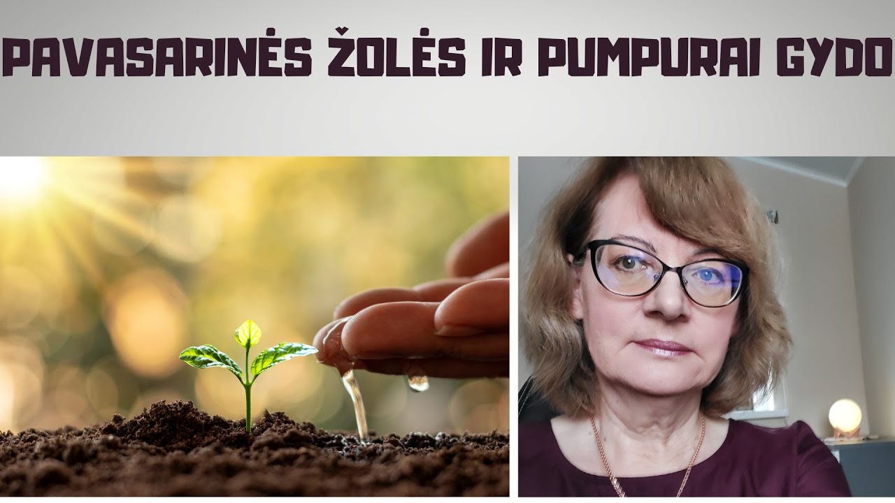 Sveikata | Pavasarinės žolės ir pumpurai gydo