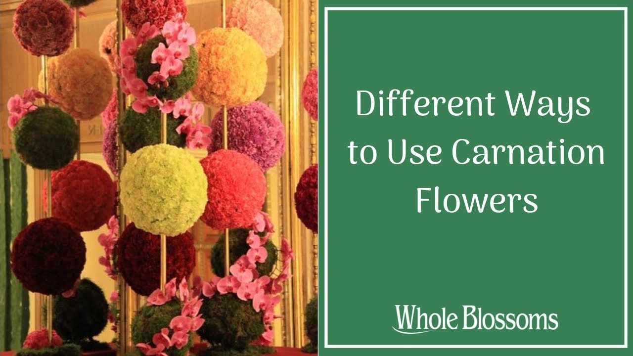 Different Ways to Use Carnation Flowers for Wedding or Event