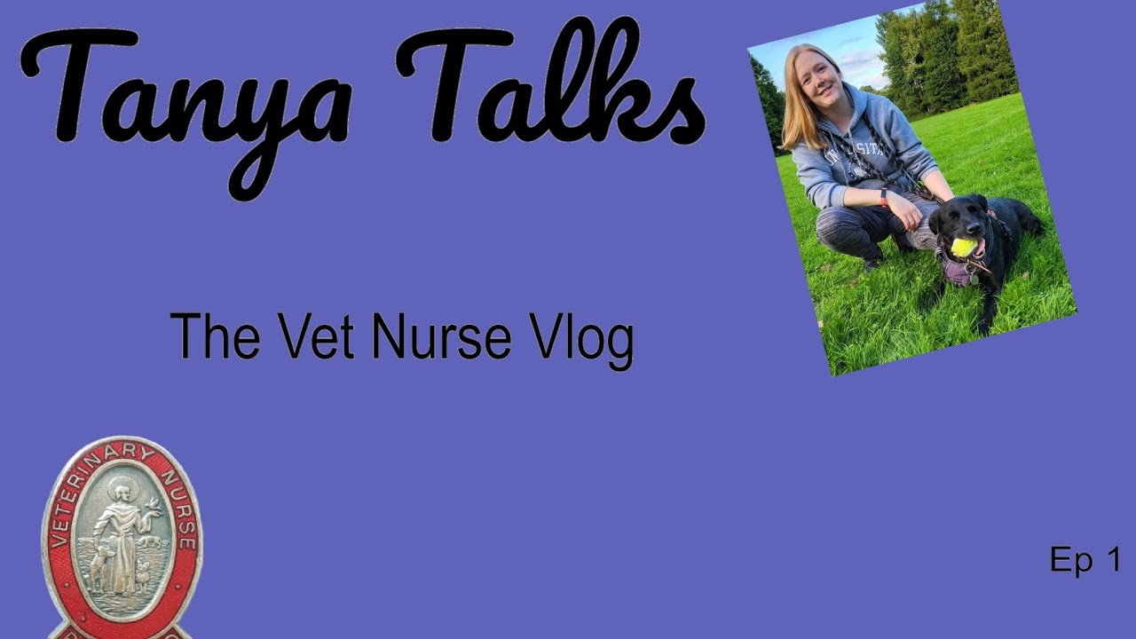 Tanya Talks: The Vet Nurse Vlog Ep1 Introduction 