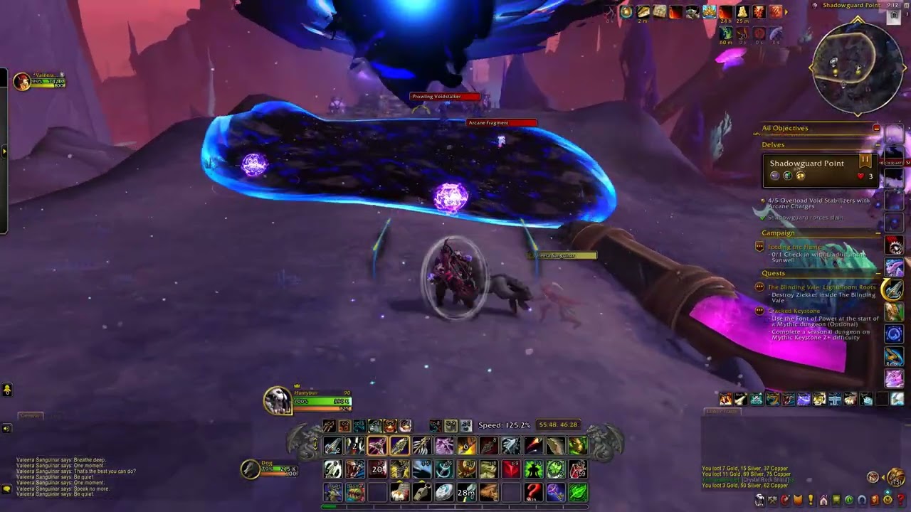 Shadowguard Point Delve T11 Marksmanship Hunter