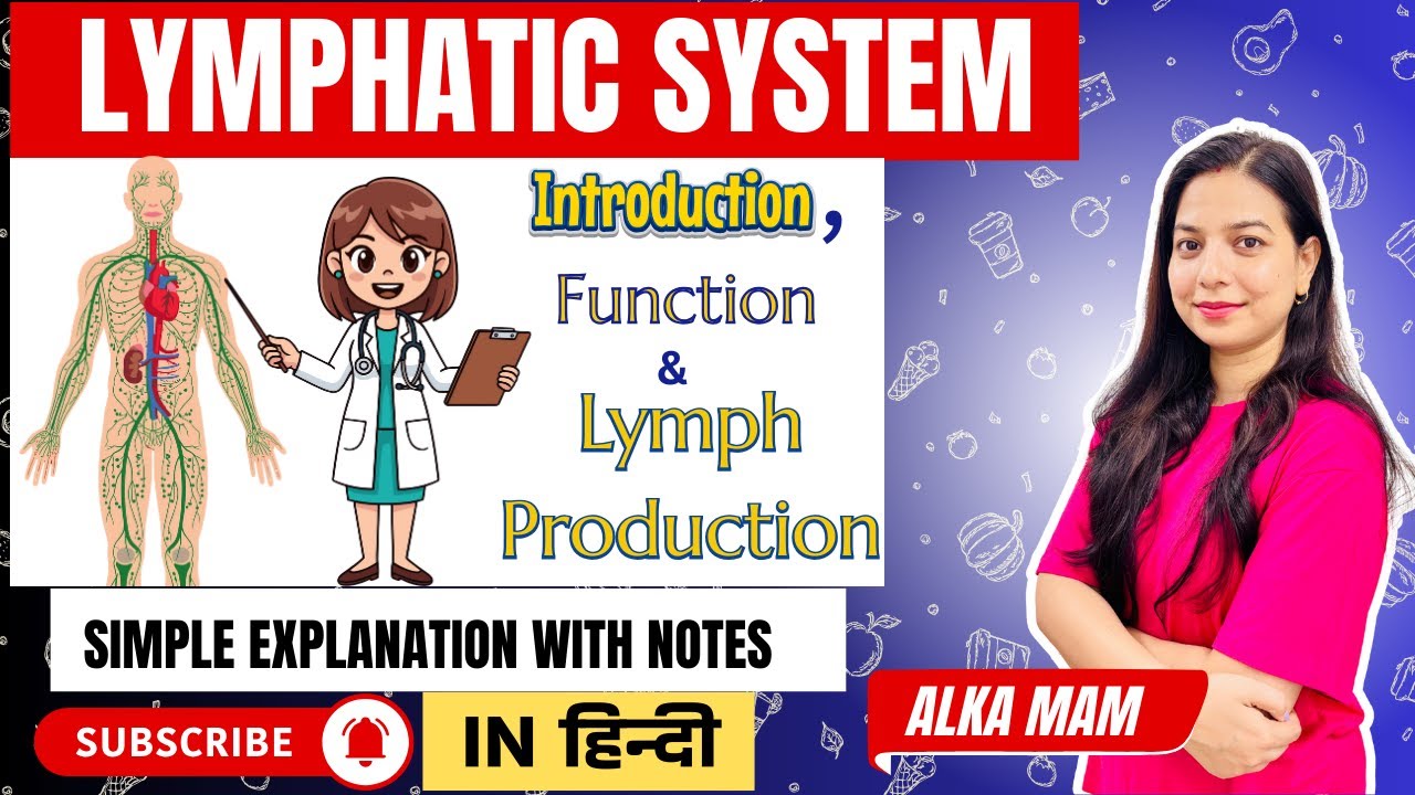 Lymphatic System Explained: Introduction, Functions & Lymph production | In Hindi | ALKA PANDEY