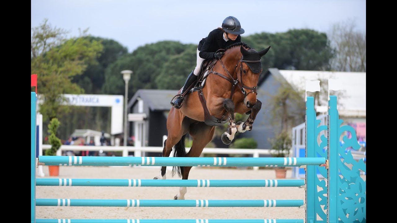 DIJON han.(Diamant de Semilly- Quintender- Cento) 2019- CSIYH Lier (BEL)