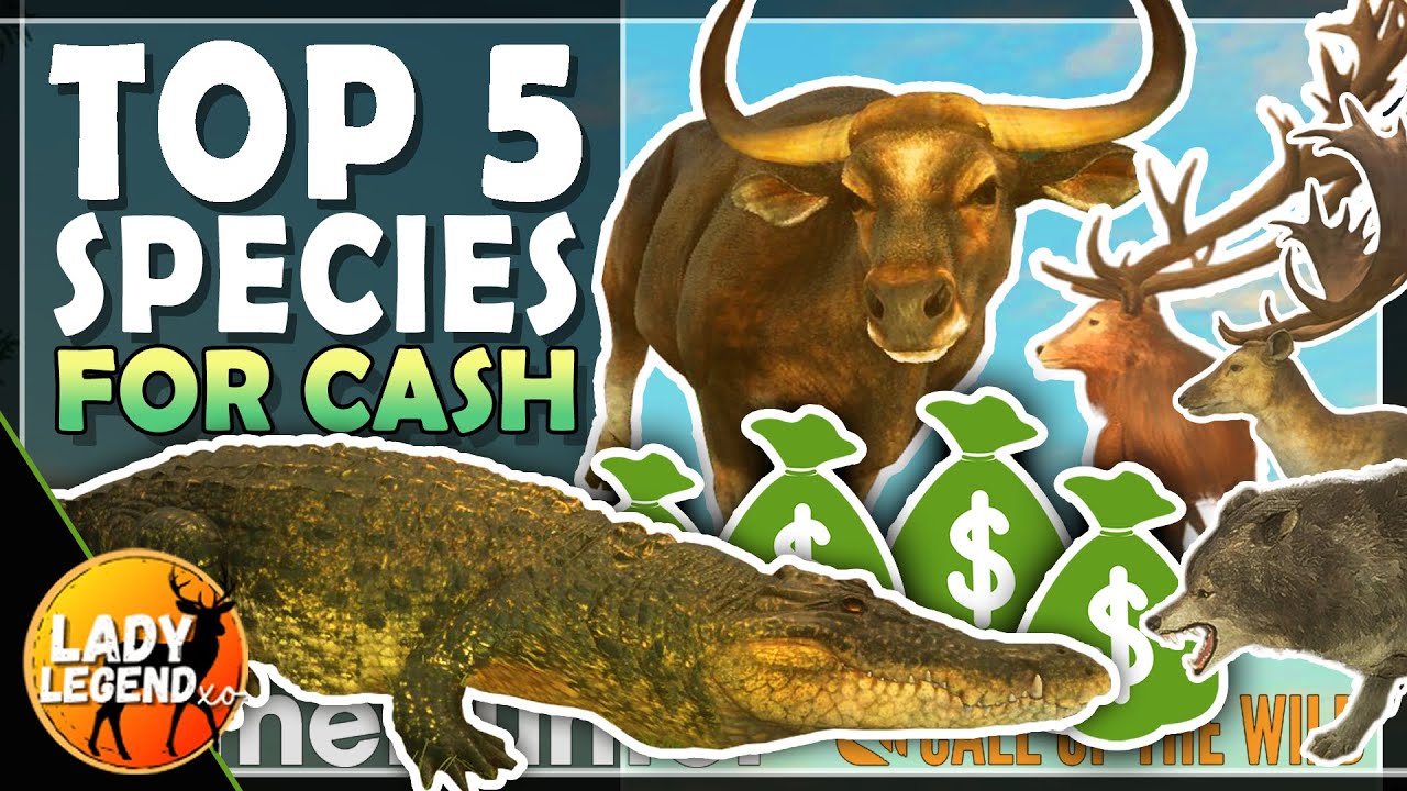 TOP 5 SPECIES to HUNT for CASH in Call of the Wild 2023 - UPDATED!!!