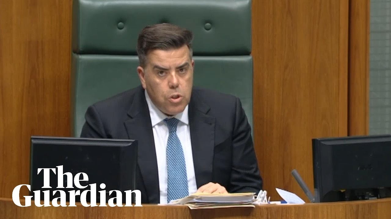 'This is the final warning': speaker Milton Dick gives MPs ultimatum after pharmacists' protest