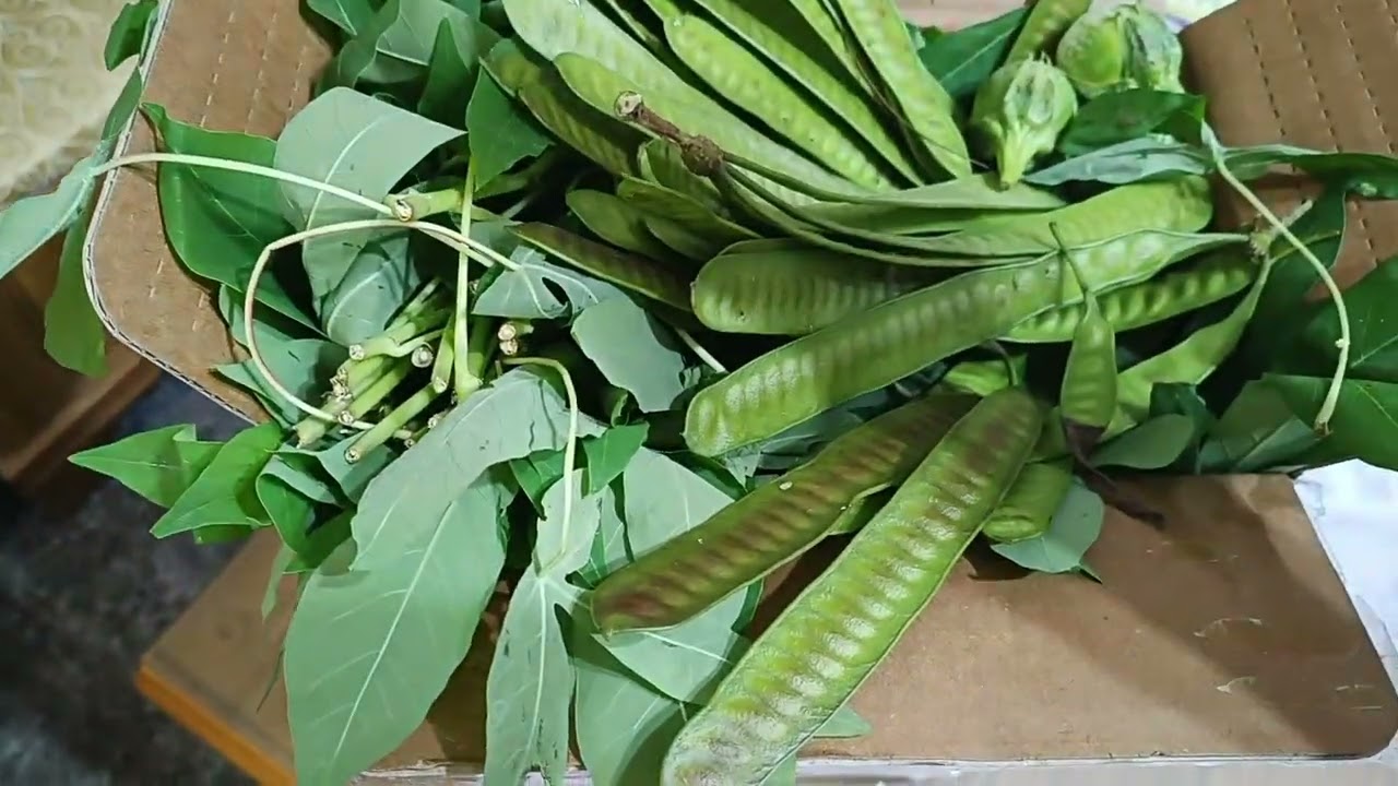 🇹🇼 Альхамдулиллах ва Сюкру лиллях ‼️ Деятельность тайваньских трудящихся-мигрантов Альхамдулиллах...