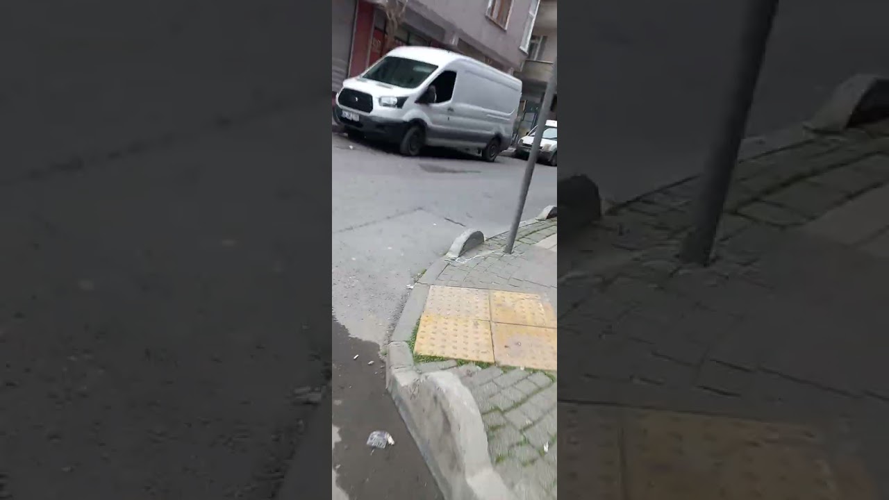 Ayazda tekir operasyonu