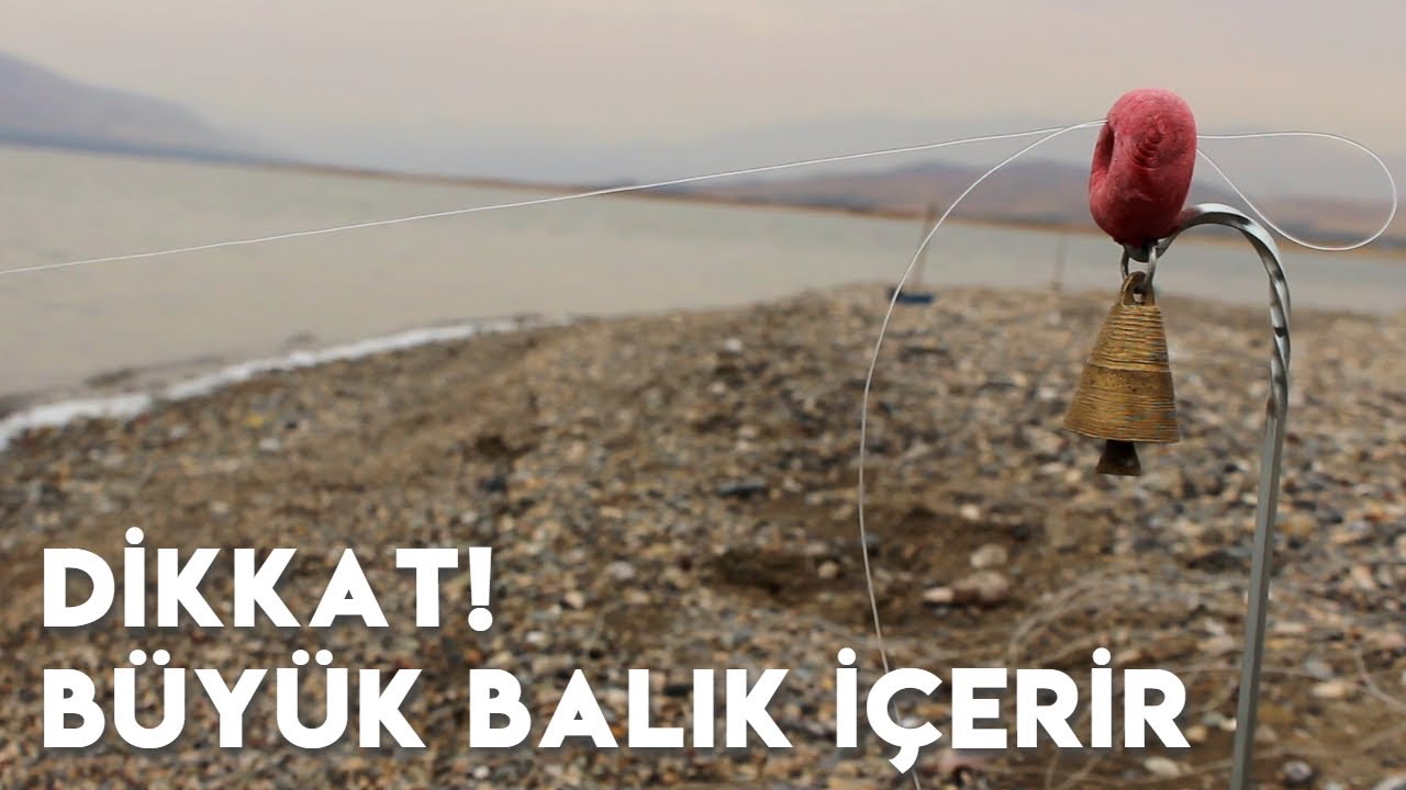 BÜYÜK BALIK AVI - Çok Güzel Limit Üstü Balıklar Yakaladık (TROFE SAZAN AVI)