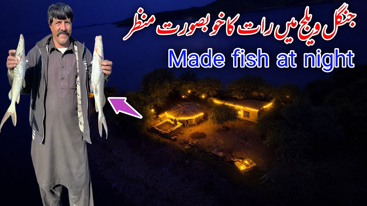 Beautiful night view in the jungle village| made fish at night 😍