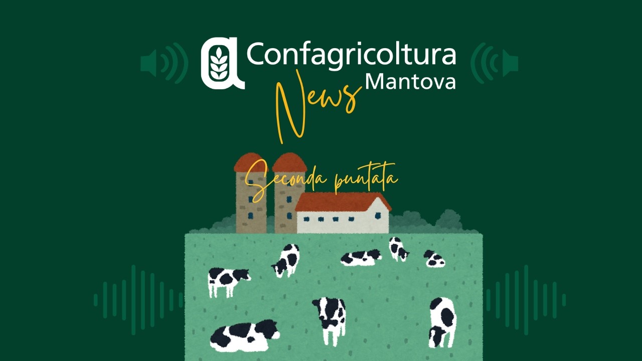 Confagricoltura Mantova News - seconda puntata