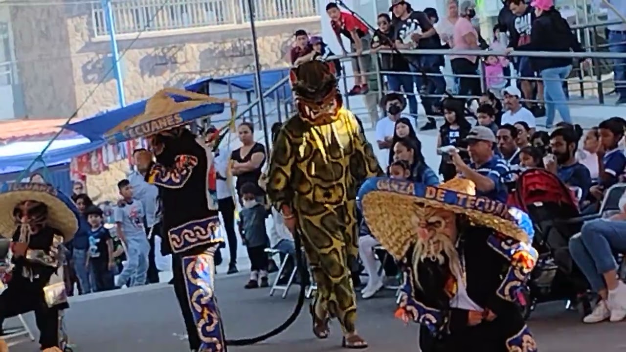 Danza de Tecuanes en la Romero Vargas, Puebla