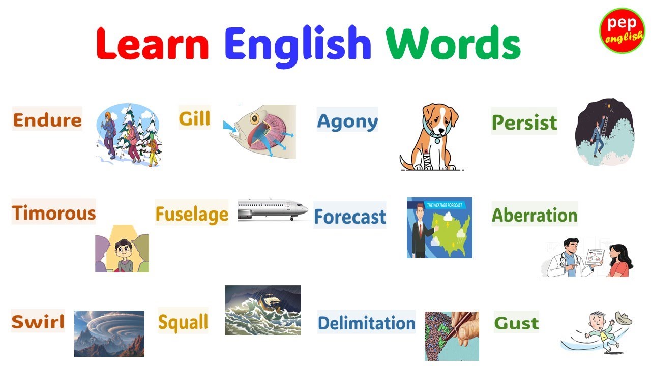 Basic English words | Learn English | English Vocabulary learning | Simple English words