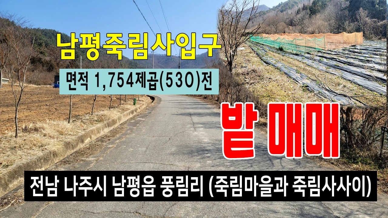 [26-020]전남 나주시 남평읍 풍림리 죽림 마을과 죽림사 입구 죽림 저수지 아래 도로에 접한 생산관리지역 밭 매매~