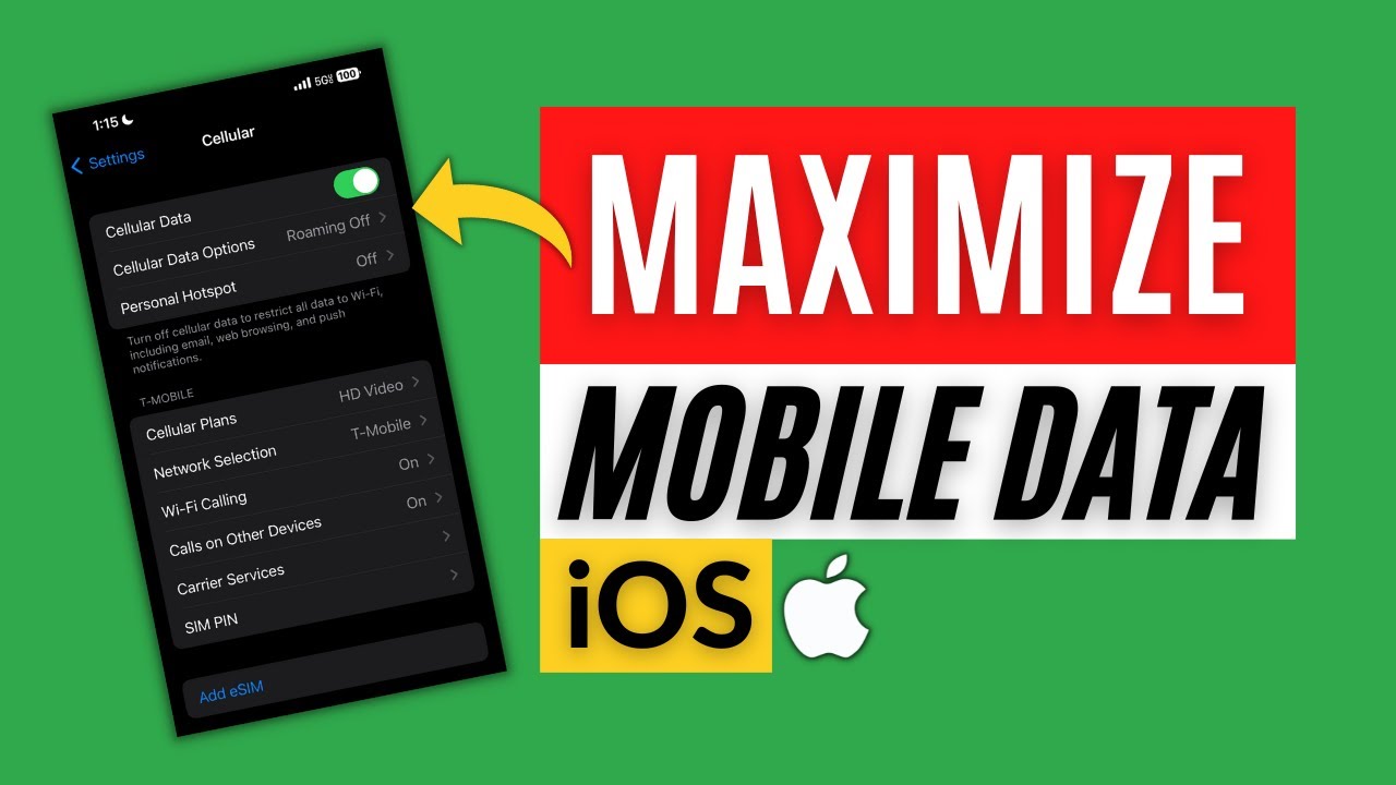 MAXIMIZE iPhone 5G Mobile Data - Understanding iOS Cellular Settings