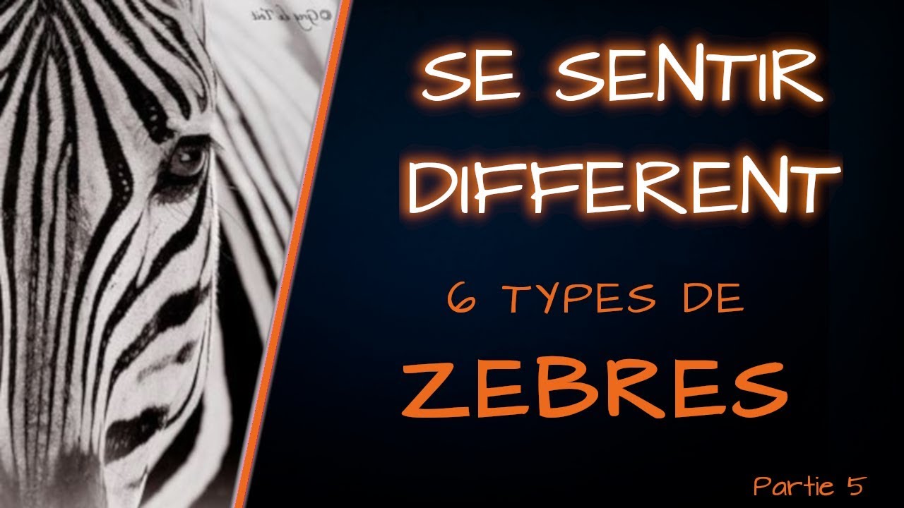 🦓 6 TYPES DE ZEBRES (se sentir différent partie 5)