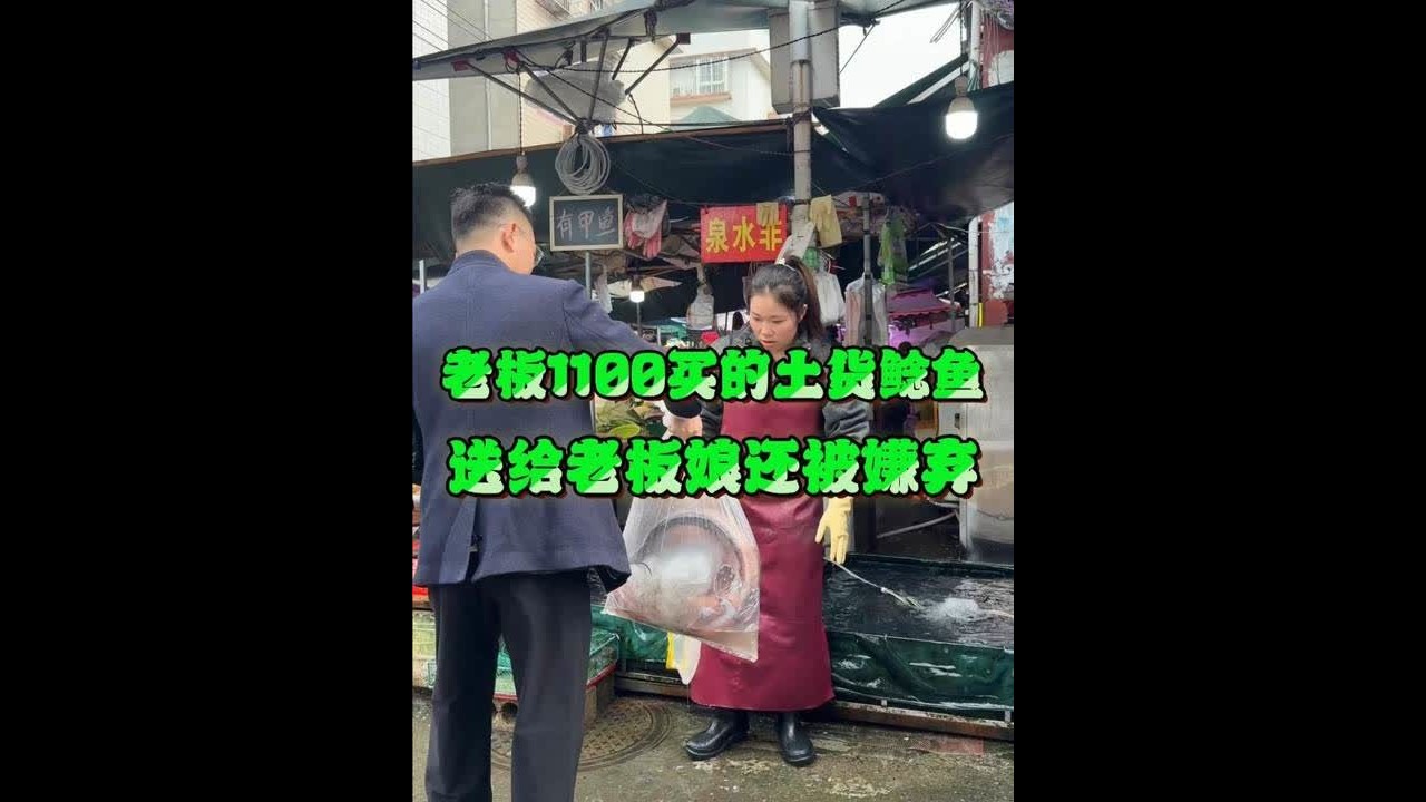老板1100买的土货鲶鱼 送给老板娘还被嫌弃 #菜市场 #埃及 #刀工 #厨房菜刀