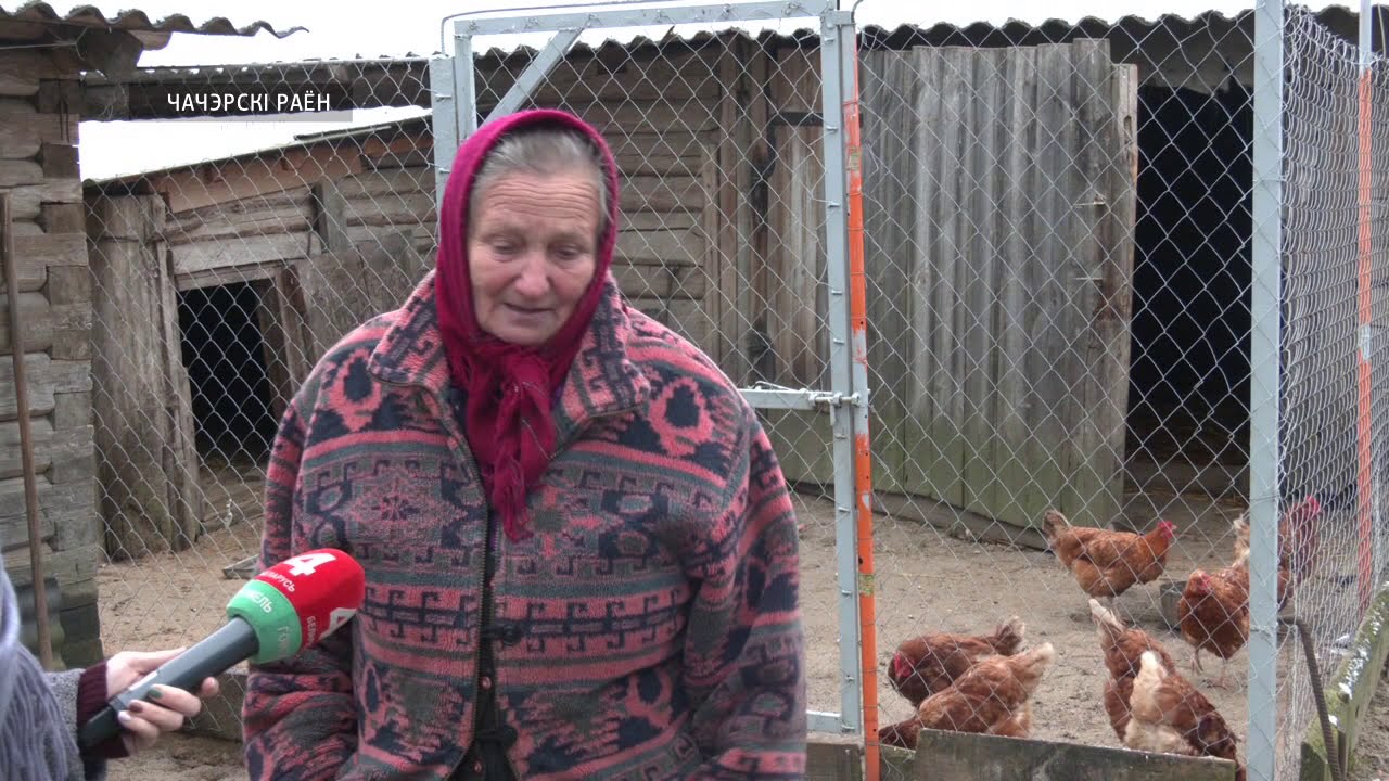 Волки нападают на деревни в Чечерском районе