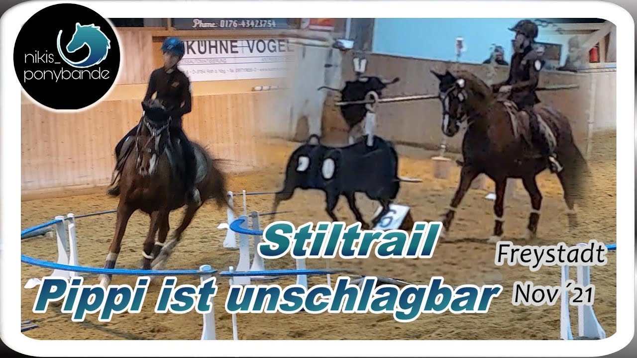 nikis_ponybande: Pippi ist unschlagbar | Working Equitation Stiltrail Kl. L | Freystadt 04.11.2021