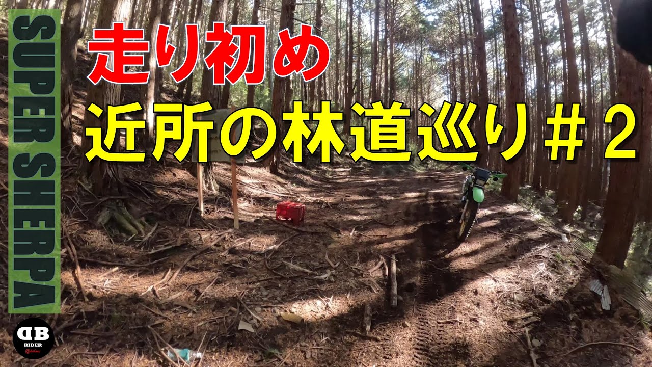 走り初め 近所の林道巡り＃２ 2026.1.3【モトブログ／スーパーシェルパ】
