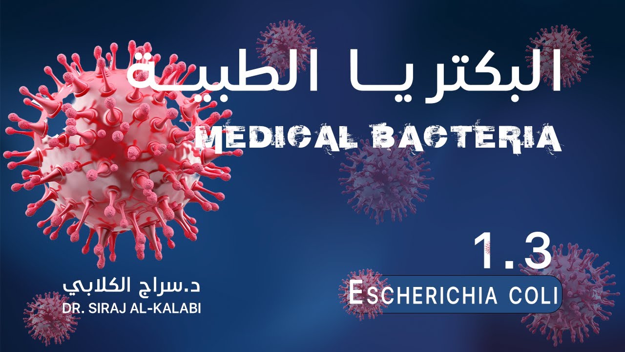التحليلات\المادة الوزارية( البكتريا الطبية )\ المحاضرة الثانية\Escherichia coli / 2024 / الجزء الاول