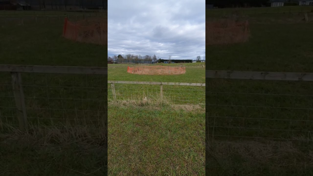 Short Mark Into Orange circle jump