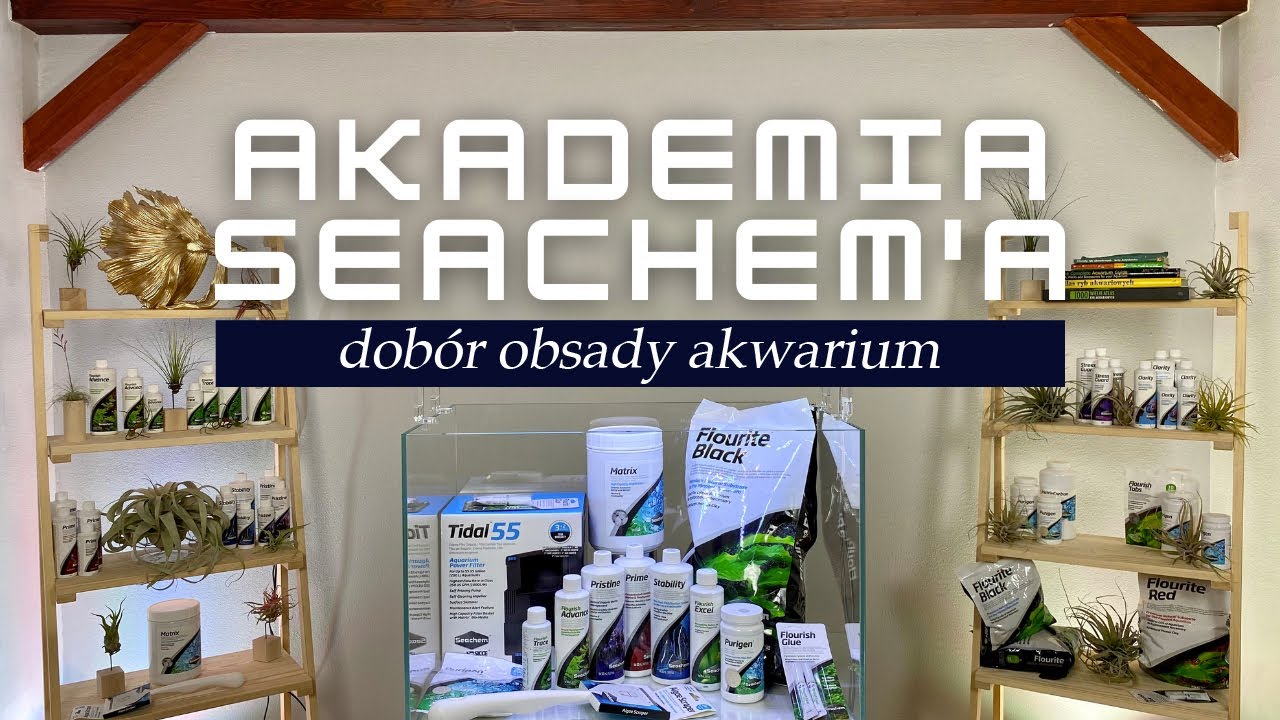 Akademia Seachem'a: dob&oacute;r obsady akwarium. Jakie rybki wybrać? Odc. 5