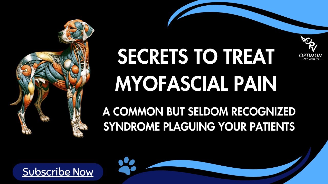 Secrets to Treat Myofascial Pain: A Common But Seldom Recognized Syndrome Plaguing Your
