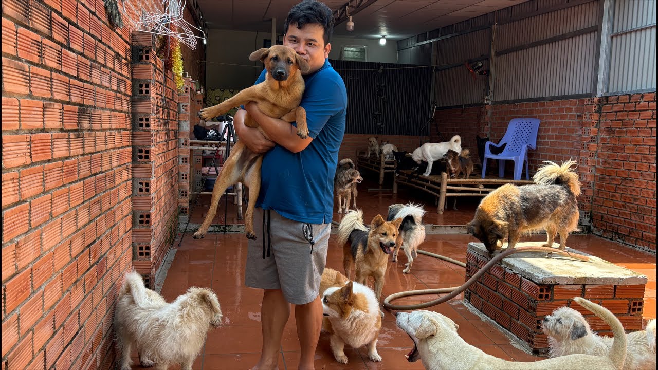 Nay lâu nhà cho sạch sẽ cái kênh Cô Chú Ơi