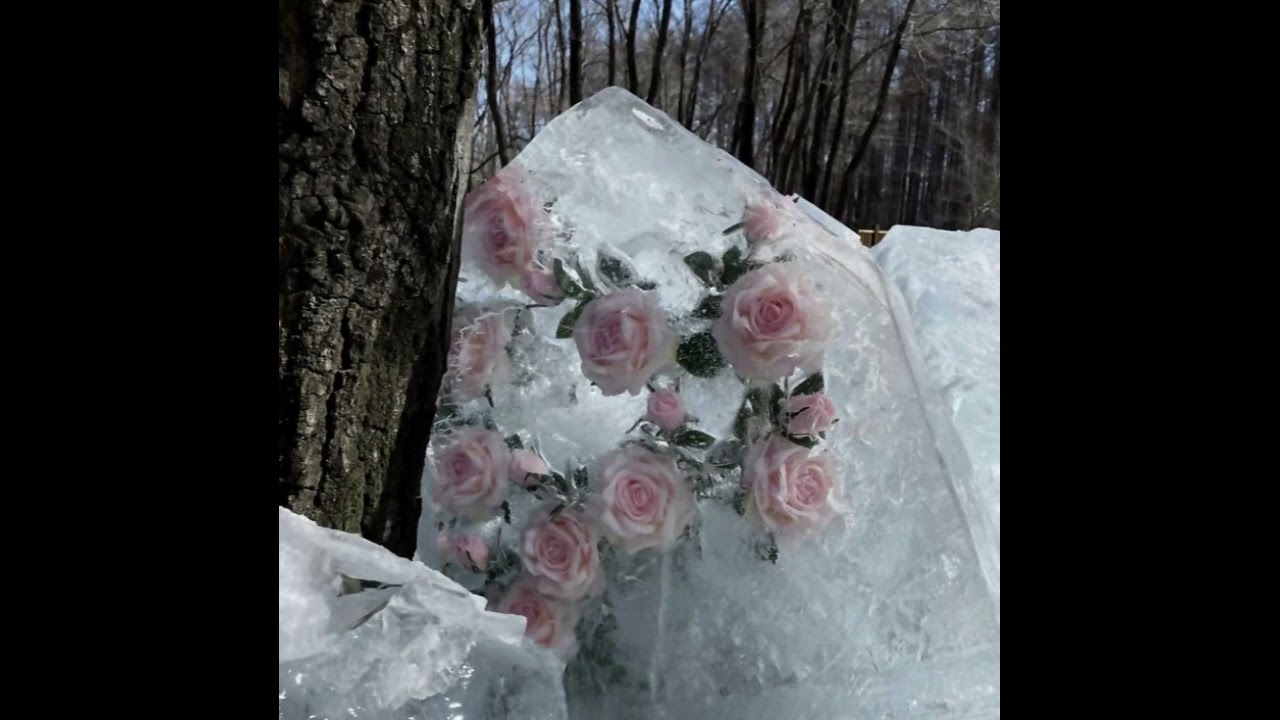 evilgiane + moh baretta + harto falion type beat (prod. whod)