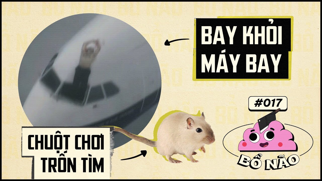 #17 BỔ N&Atilde;O: Bay Ngo&agrave;i M&aacute;y Bay & Cơn Nấc Cụt V&ocirc; Tận