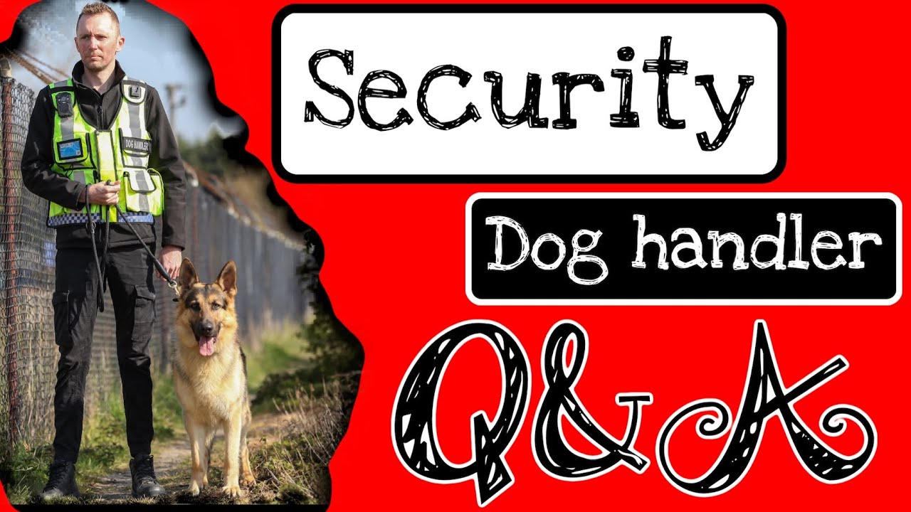 Security Dog Handler Q&A: Episode 2 (Part 1)