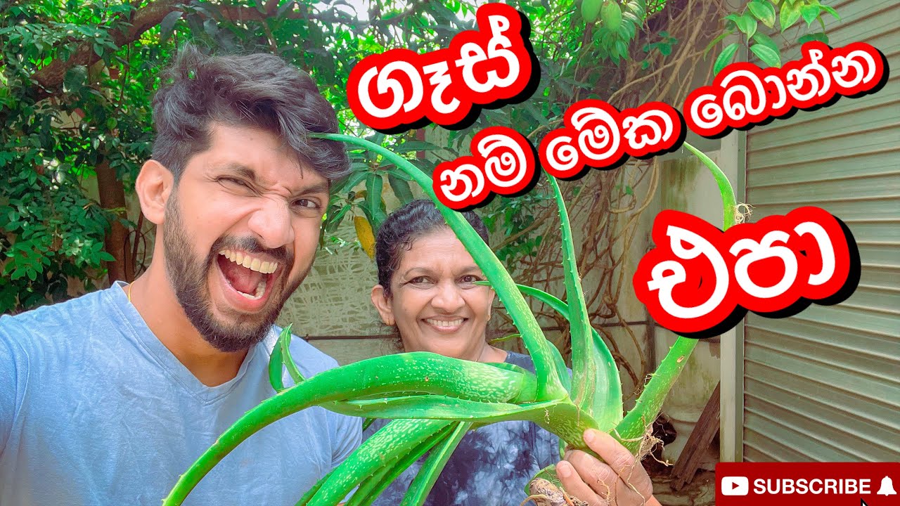 ඔයාට ගෑස් ද|Do you have gastric-Sangeeth Vlogs|Sangeeth Satharasinghe