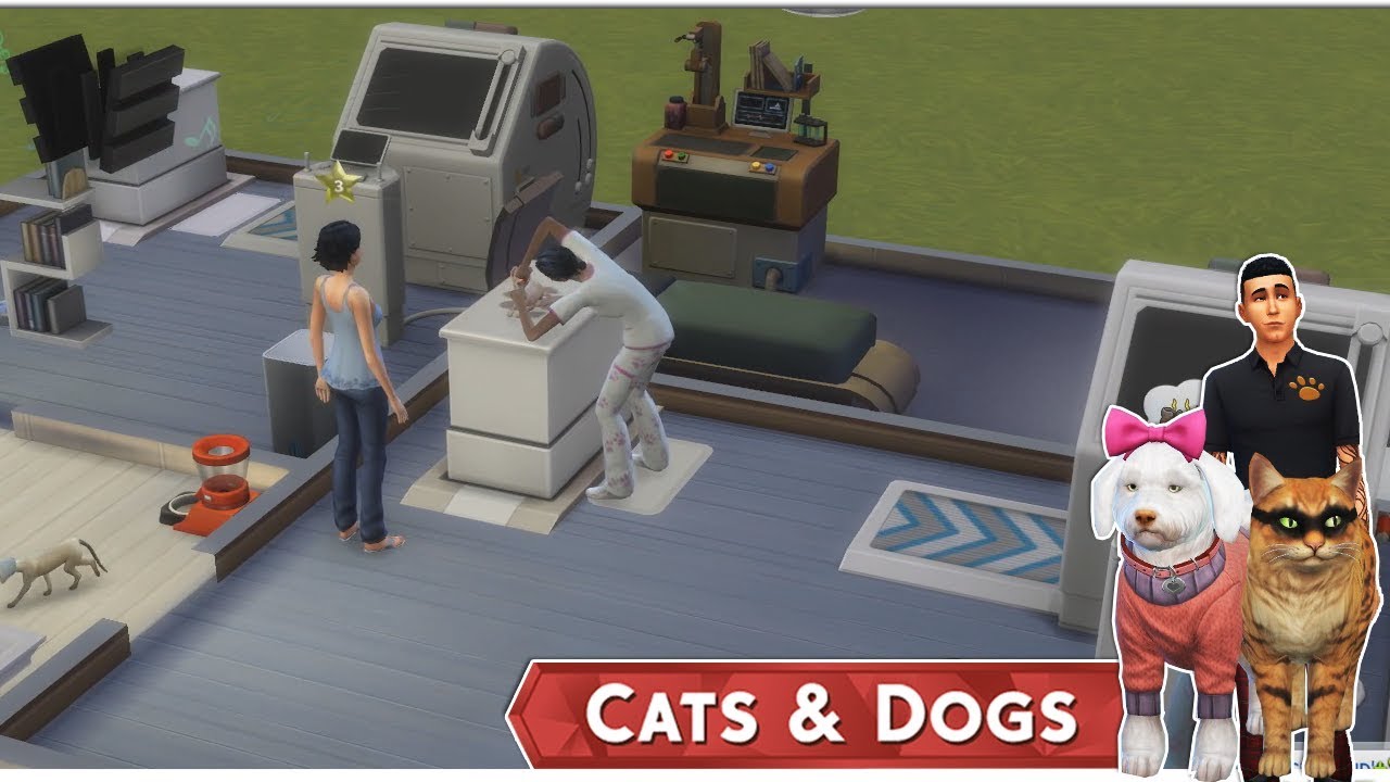 Az Állati Meló 🐕 - A nagy zárás!- 20.rész (Cats and Dogs)