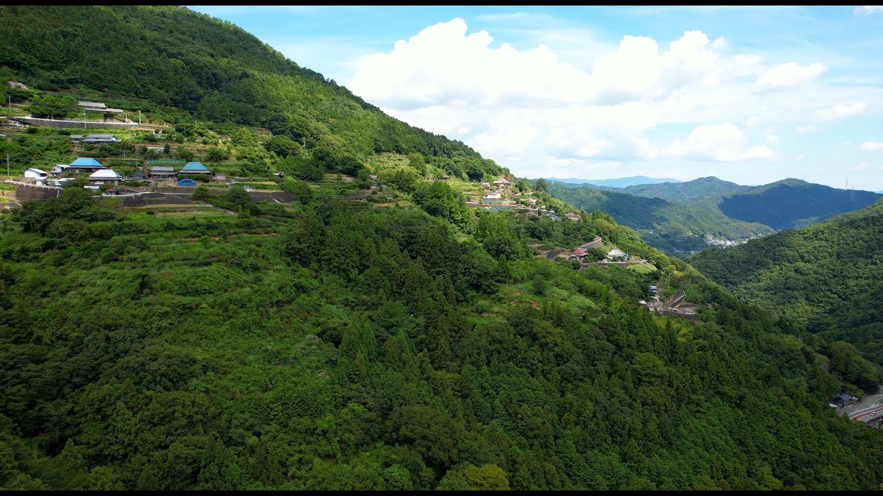 【ドローン空撮】徳島神山町/Tokushima Kamiyama