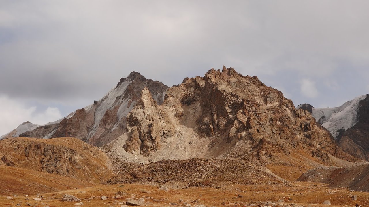 Баркраксай радиалка.