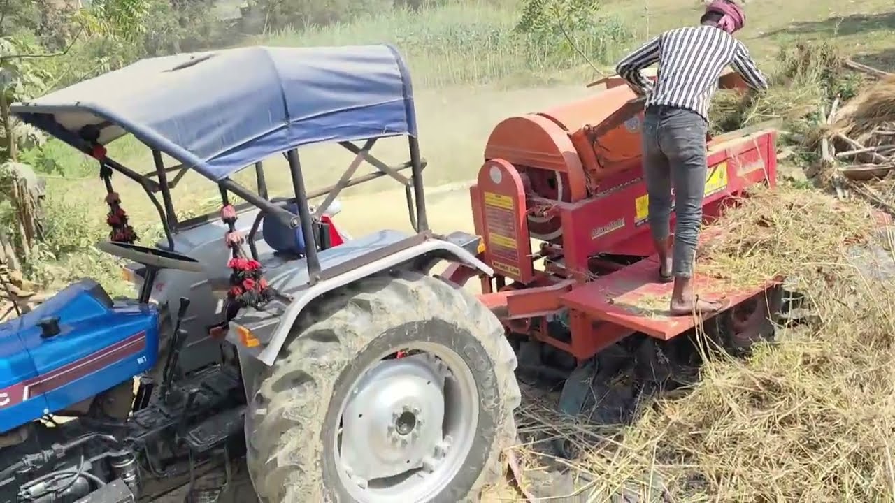  🔥 तूफानी तकनीक: रिकार्ड तोड सरसों उत्पादन! 🔥                देखें ये कैसे संभव है 🌿          