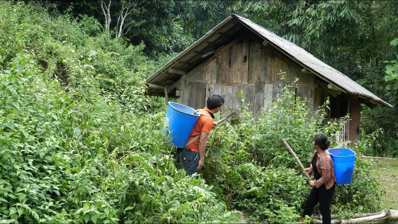 After 3 years, return to the old abandoned house, drain the pond to catch fish and cook