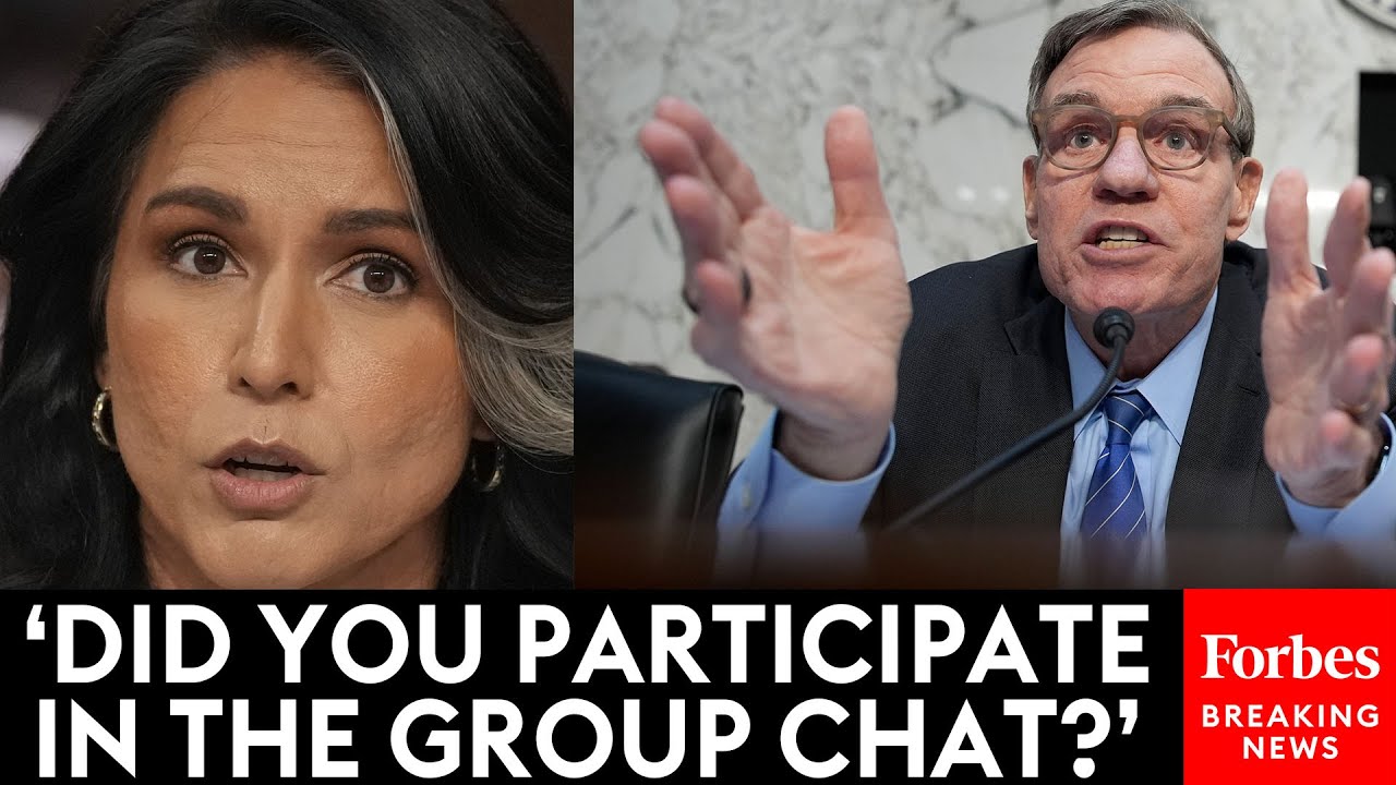 BREAKING NEWS: Sparks Fly As Mark Warner Mercilessly Grills Tulsi Gabbard About Leaked War Plans