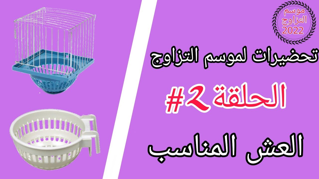 العش المناسب لإنتاج طائر الكناري والحسون | الحلقة الثانية |