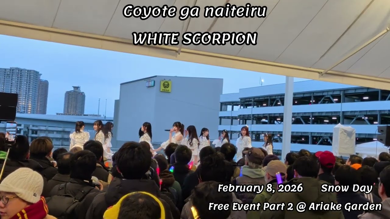 コヨーテが鳴いている WHITE SCORPION  Feb 8, 2026 Free Event Part 2 Setlist No. 3 @ Ariake Garden